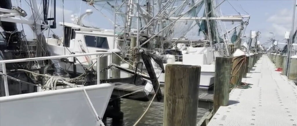 Protecting Gulf Coast Shrimp: Mississippi Leaders Meet With Usda Secretary