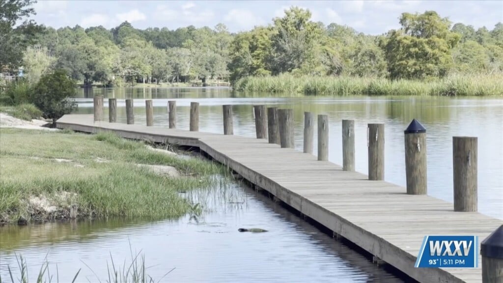 Mississippi Outdoor Stewardship Trust Fund Accepting Applications For Grants