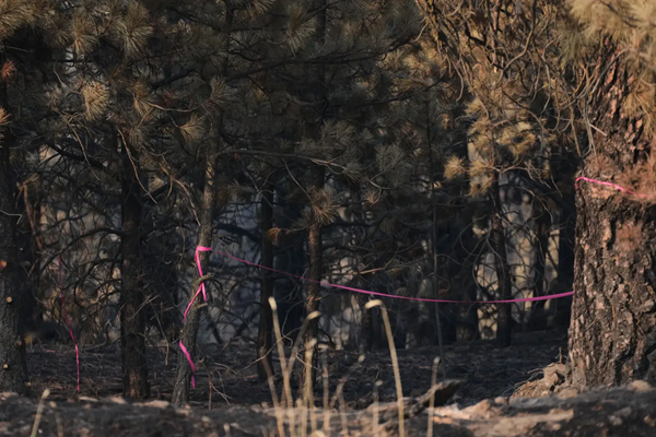 Spokane Fire