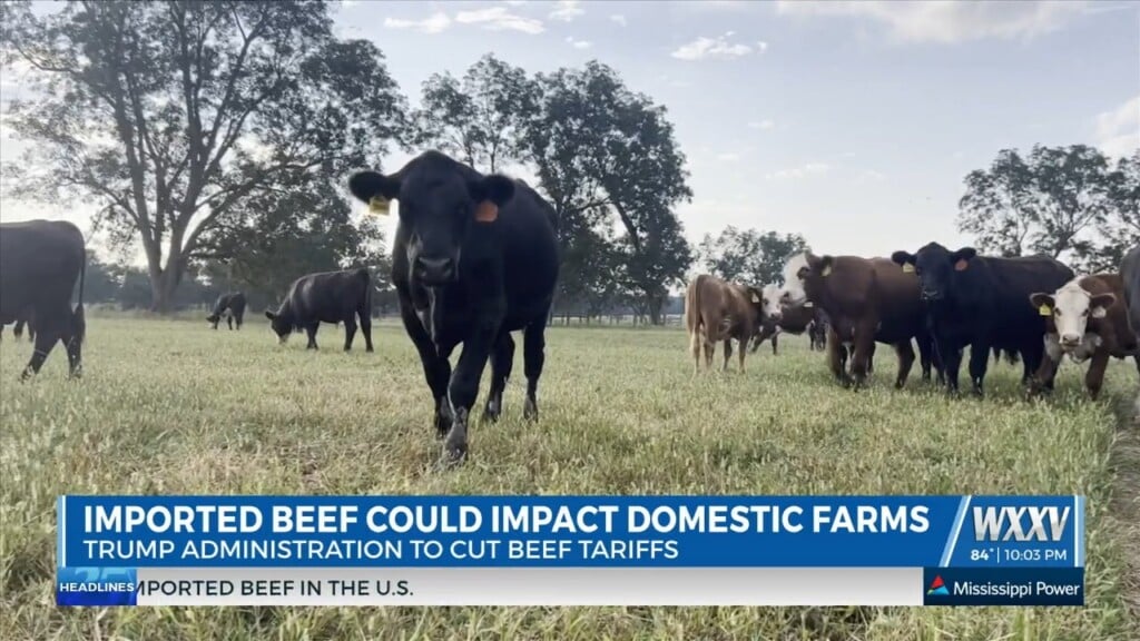 Local Farmers Concerned About Impacts Of Increased Beef Imports As President Trump Cuts Tariffs