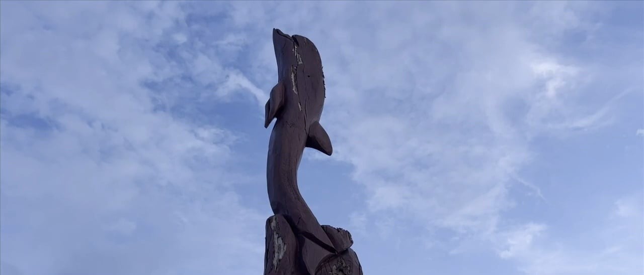 21 Years after Katrina Gulf Coast tree sculptures keep stories of resilience alive