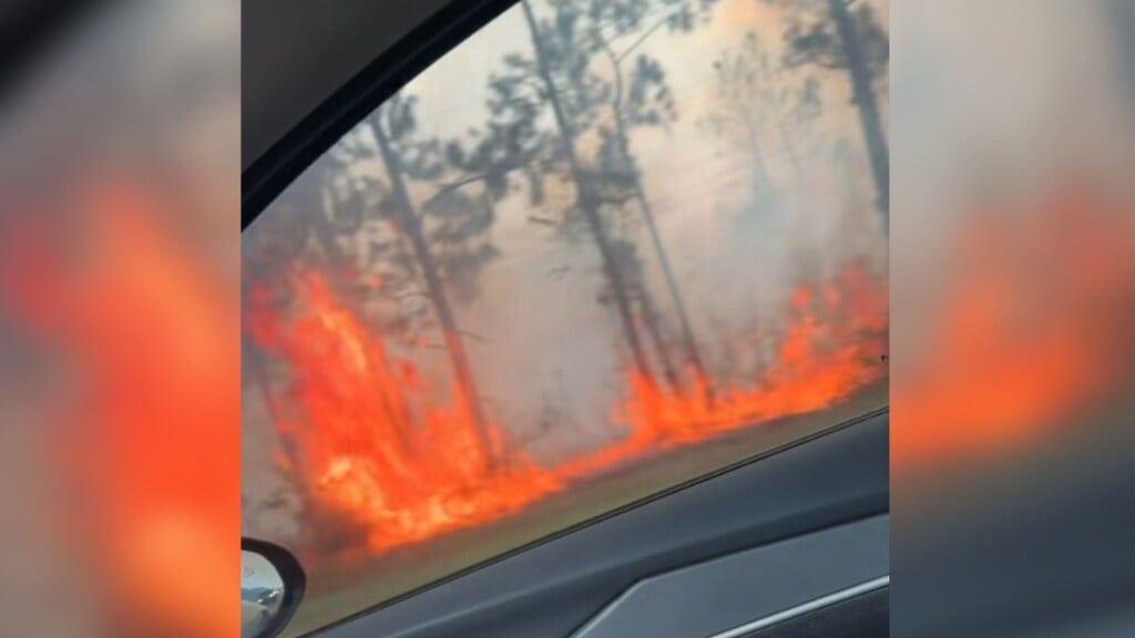Fire Gautier Web Photo