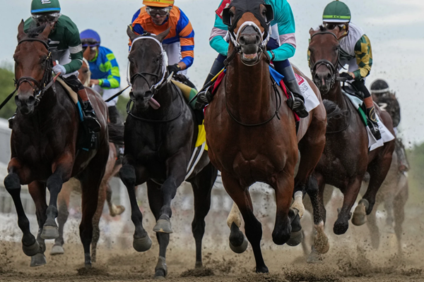 Preakness