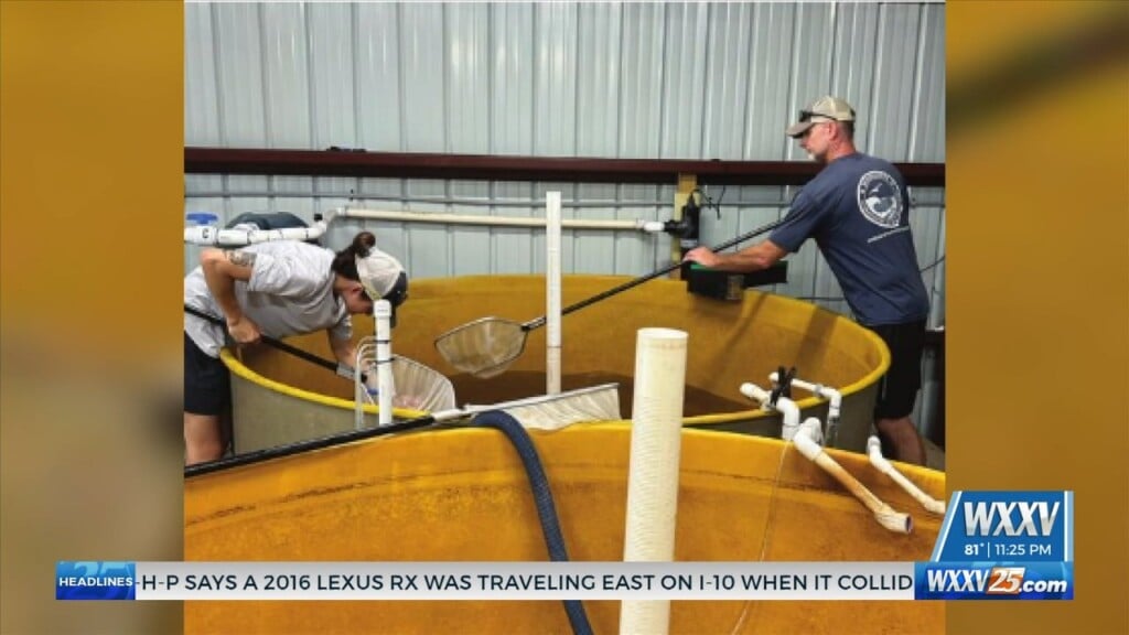 Mdmr Completes New Larval Grow Out Building At Lyman Aquaculture Hatchery