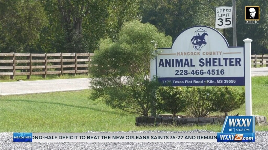 Hancock County Moving Forward With Plans For New Animal Shelter