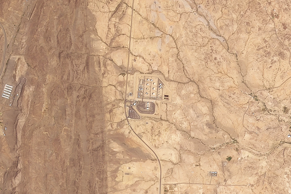 Oil