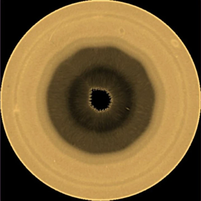 Saturn