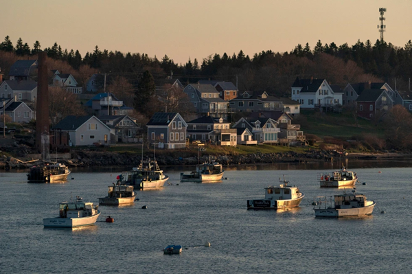 Lobster Boats