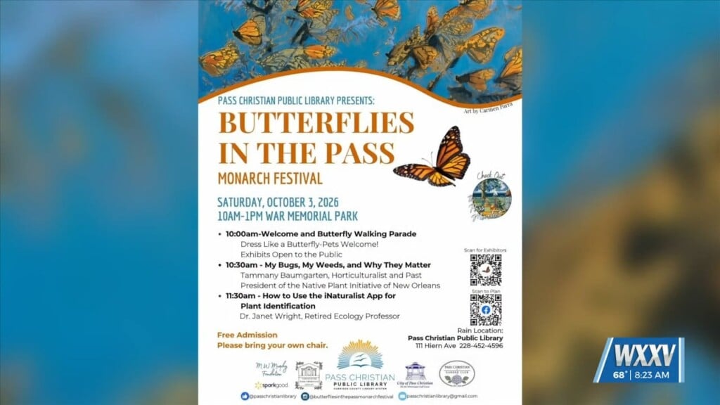 Butterflies In The Pass Monarch Festival Happening In October