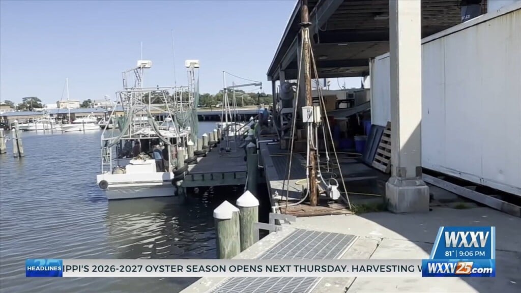 Mississippi 2026 27 Oyster Season Opens October 1