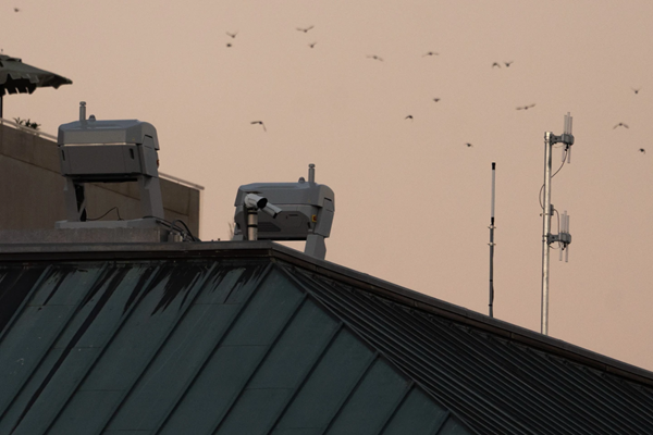 Drones