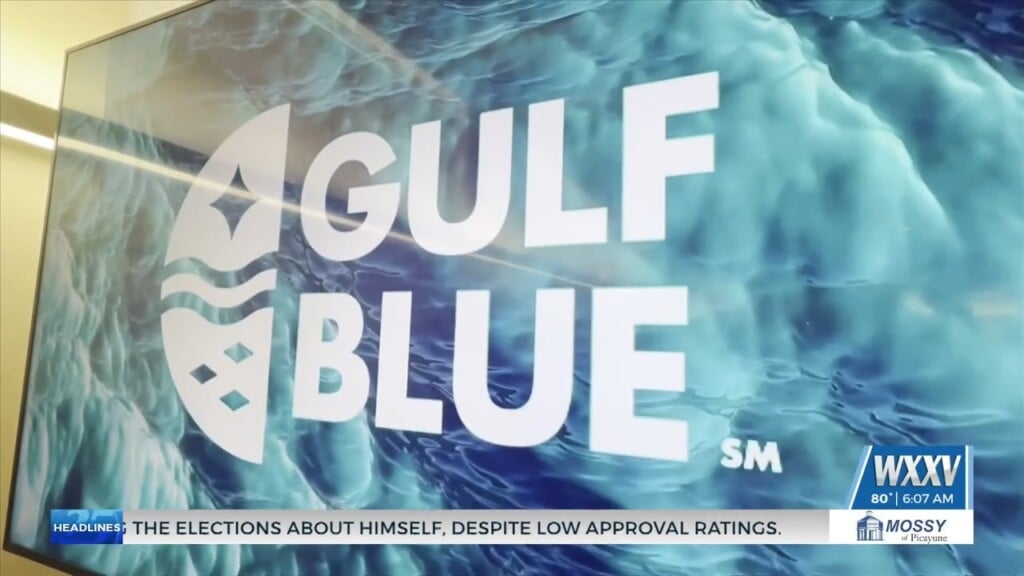 Gulf Blue Enters Into New Naval Partnership Advancing Technology, Innovation