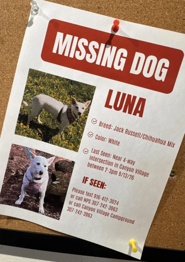 Luna