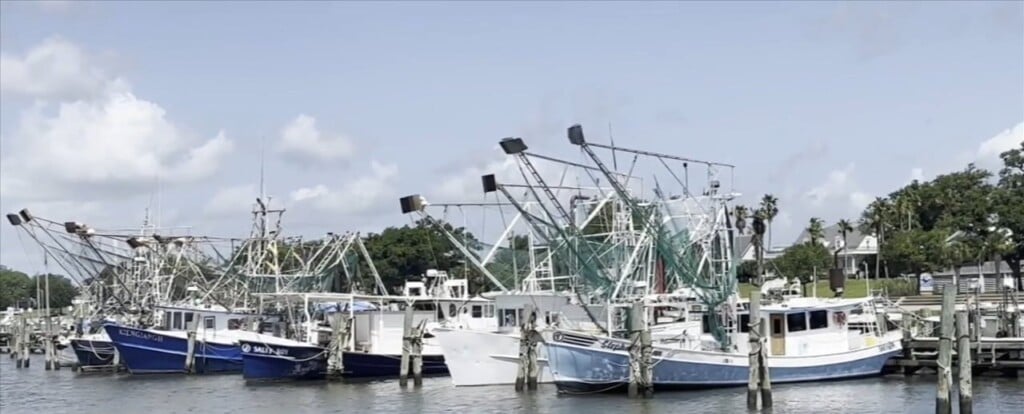 New Waters Open To Shrimping In South Mississippi