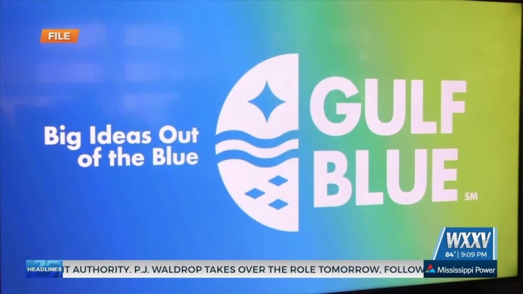 Fifth Gulf Blue Cohort Applications Now Open