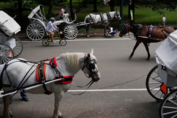 Carriages