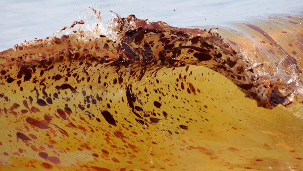 Bp Oil Spill
