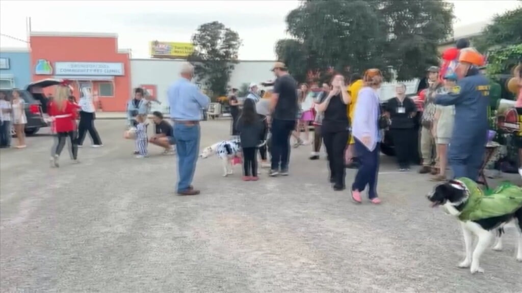 Hssm Hosts Furry Friends For Halloween Fun