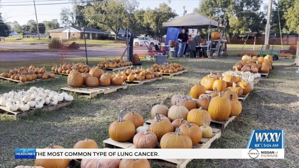 Fourth Annual Lemoyne Boulevard Baptist Church Pumpkin Patch Open All Month