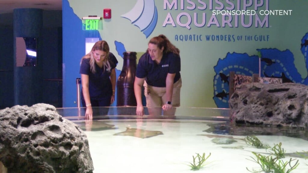 Wild Wonders Touch Pools