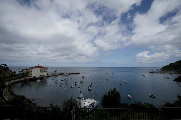 Catalina