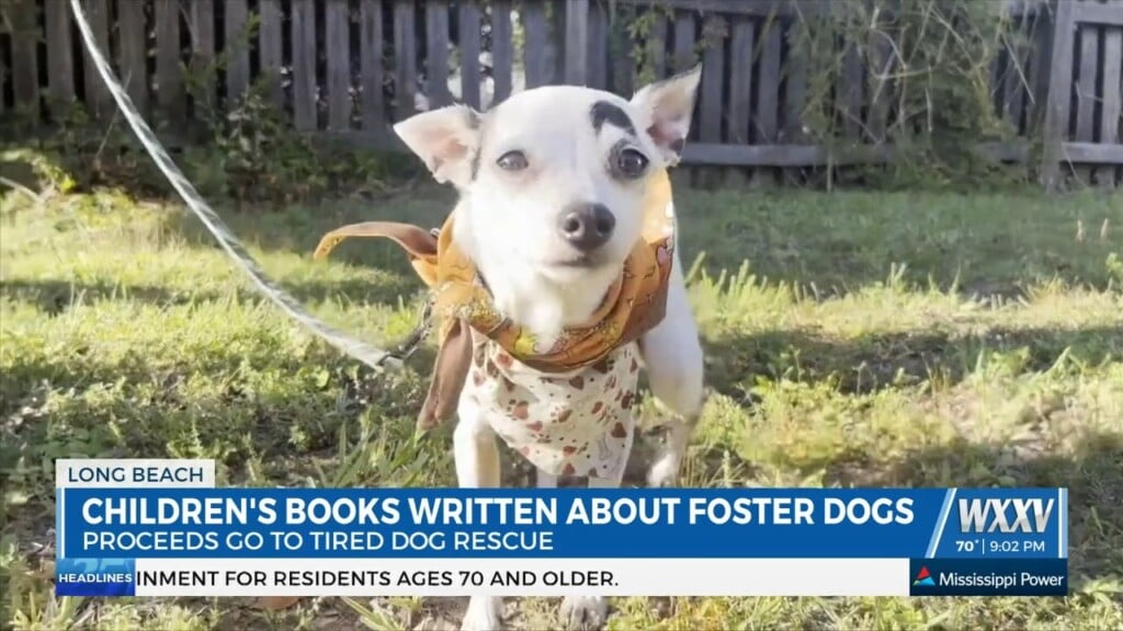 Long Beach Woman Writes Children's Books About Foster Dogs