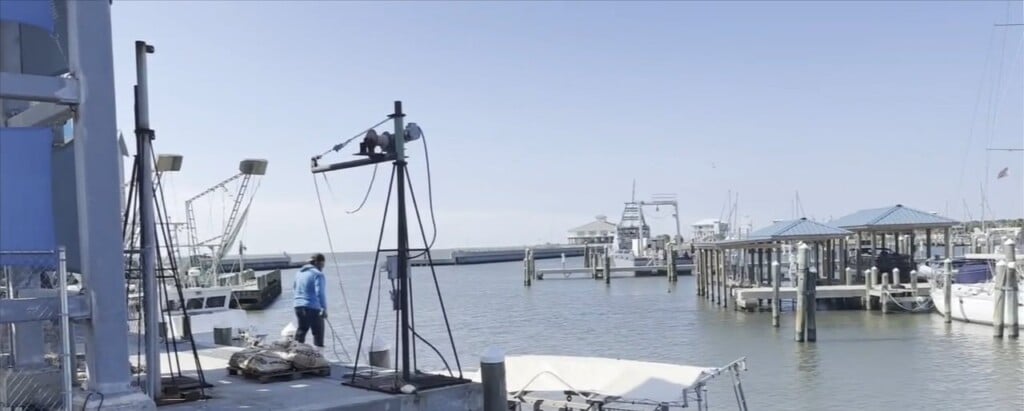 Senator Hyde Smith Introduces Bill On Shrimp Imports