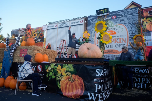 Pumpkins