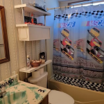 Nascar Themed Home For Sale001