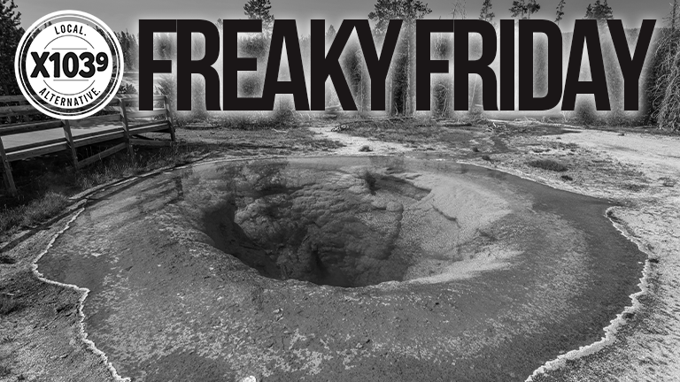 Freaky Friday Yellowstone