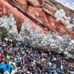 Photo Apr 21 2026 10 34 01 Am